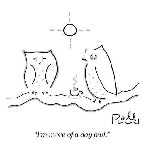 "I'm more of a day owl."