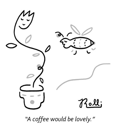 "A coffee would be lovely."
