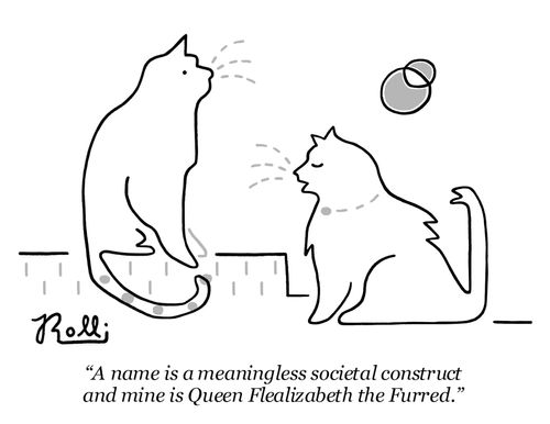 "A name is a meaningless societal construct and mine is Queen Flealizabeth the Furred."