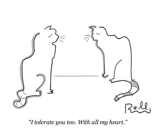 "I tolerate you too. With all my heart."
