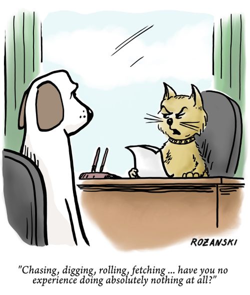 "Chasing, digging, rolling, fetching. . . have you no experience doing absolutely nothing at all?"
