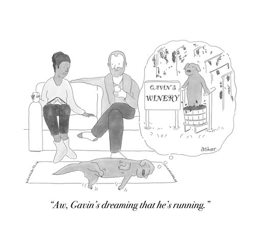 "Ah, Gavin's dreaming that he's running."