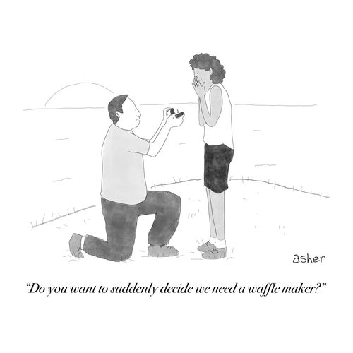  "Do you want to suddenly decide we need a waffle maker?"
