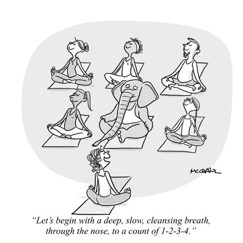 "Let's begin with a deep, slow, cleansing breath, through the nose, to a count of 1-2-3-4."