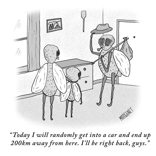 "Today I will randomly get into a car and end up 200km away from here. I'll be right back, guys."