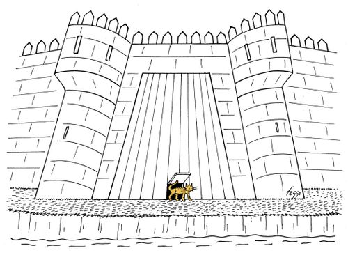 Castle Cat Flap