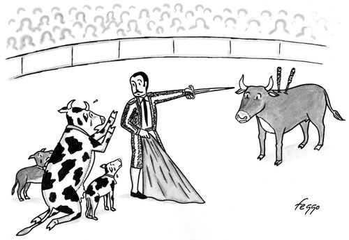 Pleading with the Bullfighter