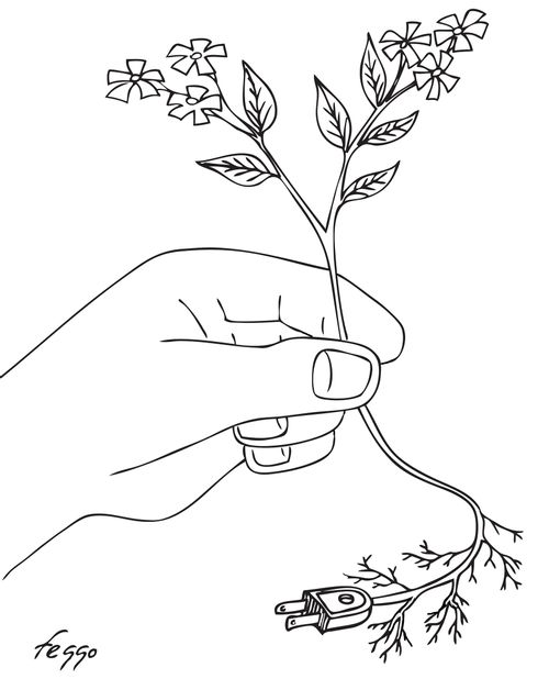 Charging a plant