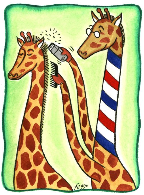 Giraffe Haircut