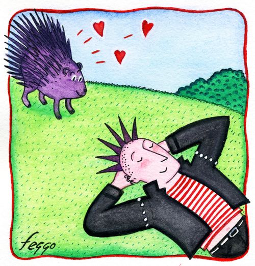Hedgehog/Punk Romance