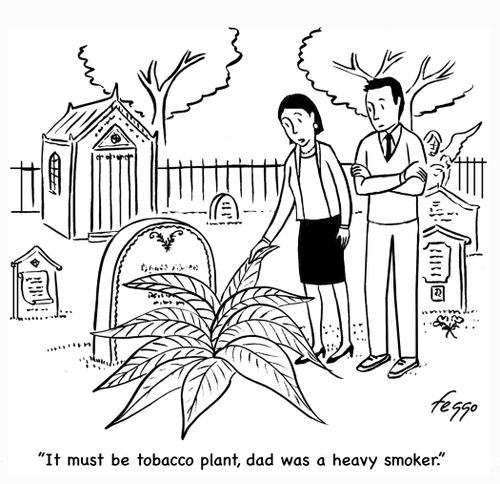 "It must be tobacco plant, dad was a heavy smoker."