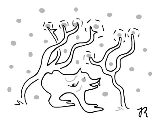 A Lionocerous