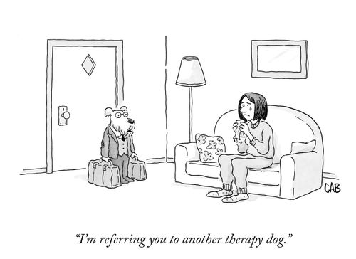 "I'm referring you to another therapy dog."
