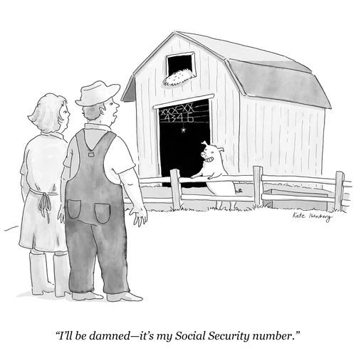"I'll be damned – it's my Social Security number."