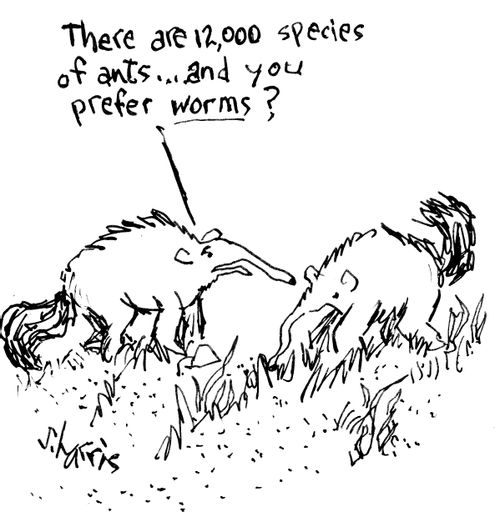 "There are 12,000 species of ants... and you prefer worms?"