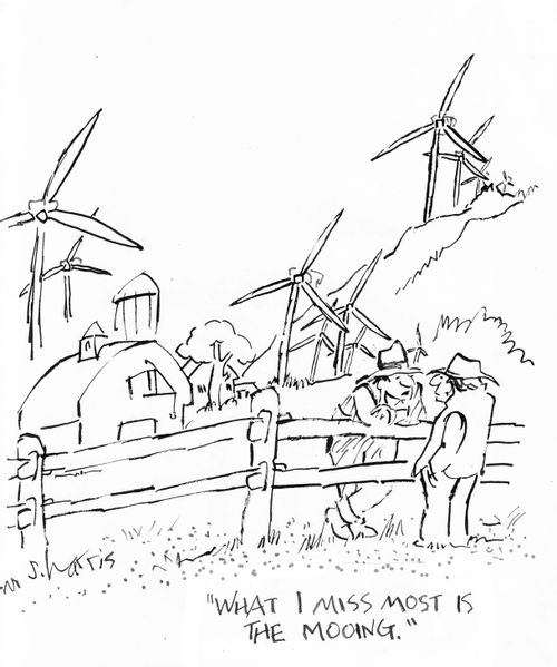 "What I miss most is the mooing."