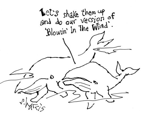 "Let's shake them up and do our version of 'Blowin' in the Wind'."