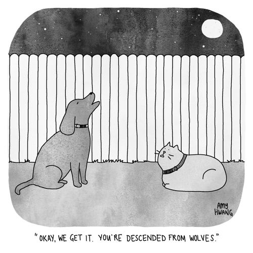 "Okay, we get it. You're descended from wolves."