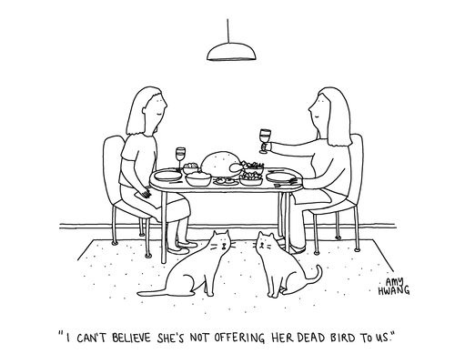 "I can't believe she's not offering her dead bird to us."
