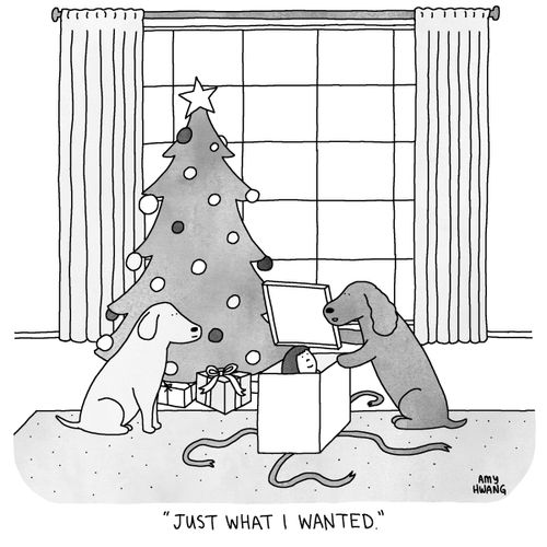 "Just what I wanted."