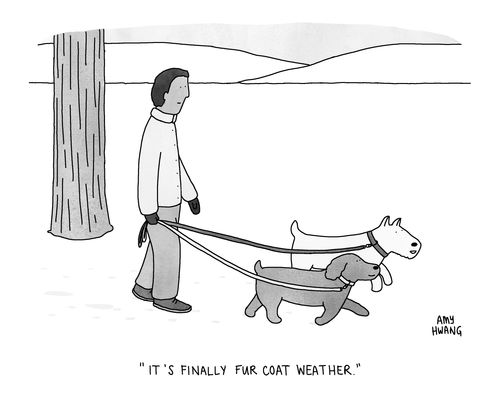 "It's finally fur coat weather."