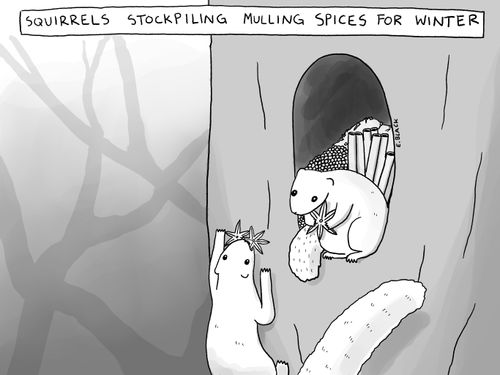 Squirrels Stockpiling Mulling Spices for Winter