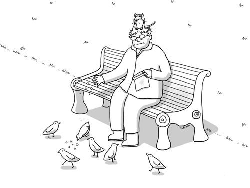 Feeding the Birds