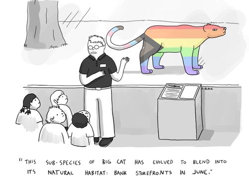 "This sub-species of big cat has evolved to blend into its natural habitat: Bank store fronts in june."