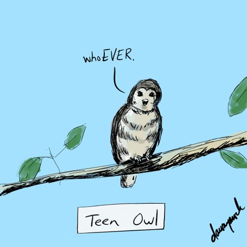 Teen Owl