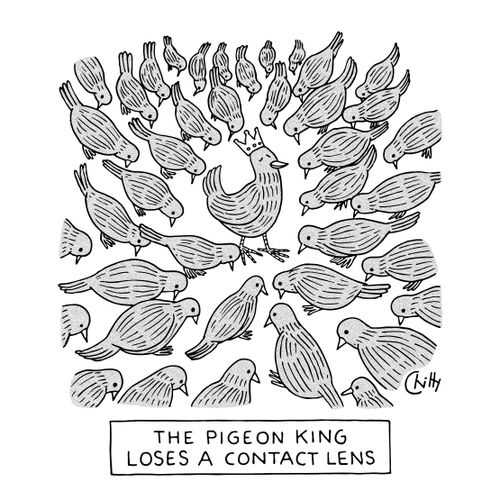 The Pigeon King