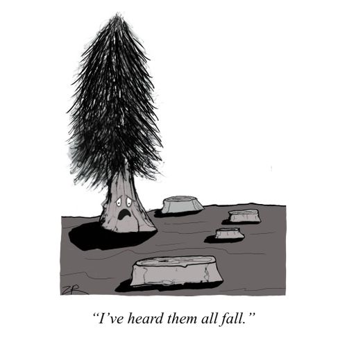 "I've heard them all fall."