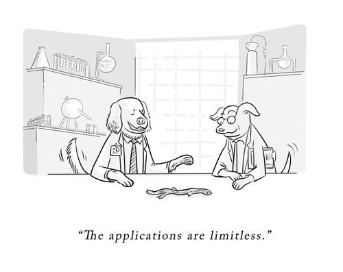 "The applications are limitless."