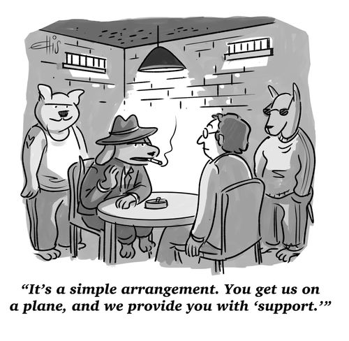 "It's a simple arrangement. You get us on a plane, and we provide you with 'support.'"