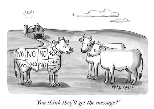 "You think they'll get the message?"