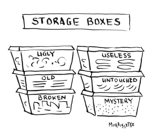 Storage Boxes