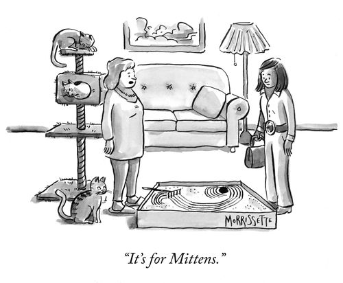 Zen Garden litter box