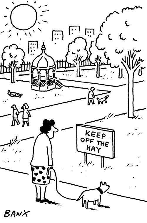 Keep Off The Hay