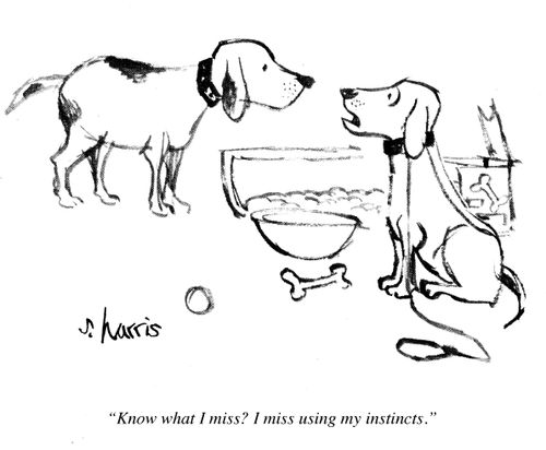 "Know what I miss? I miss using my instincts." 
