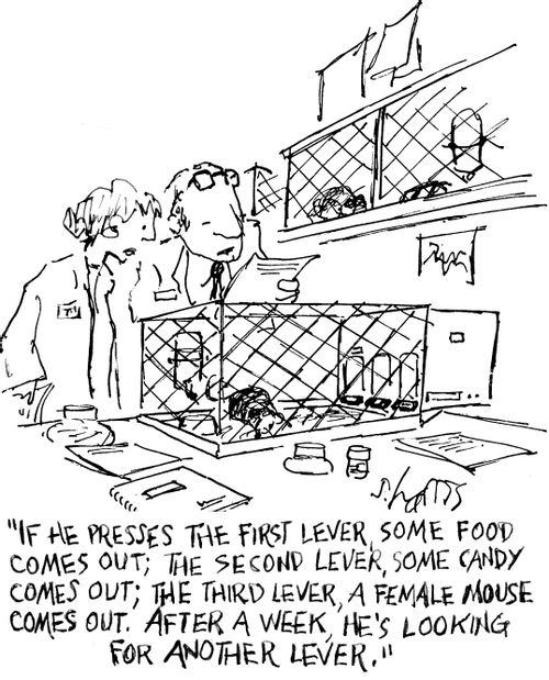"If he presses the first lever, some food comes out; the second level, some candy comes out; the third lever, a female mouse comes out. After a week, he's looking for another lever."