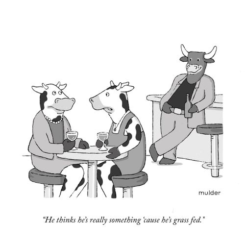 "He thinks he's really something 'cause he's grass fed."