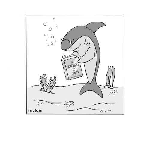 Shark reading 'A Farewell to Arms'
