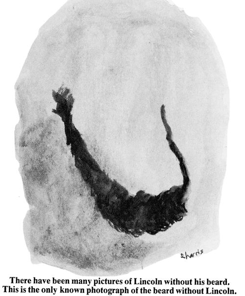 There have been many pictures of Lincoln without his beard. This is the only known photograph of the beard without Lincoln.