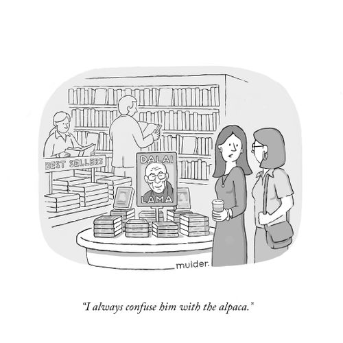 "I always confuse him with the alpaca."