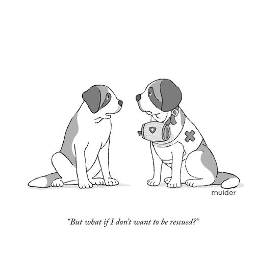 "But what if I don't want to be rescued?"