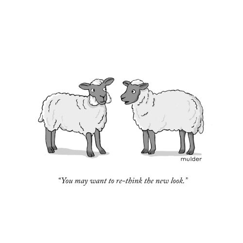 "You may want to re-think the new look."