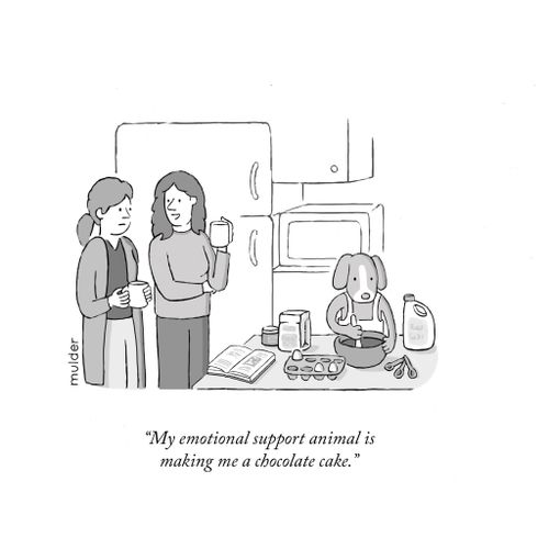 "My emotional support animal is making me a chocolate cake."
