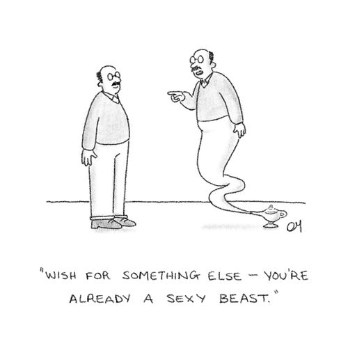 "Wish for something else - you're already a sexy beast."