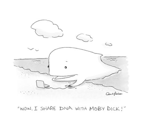 "Wow. I share DNA with Moby Dick!"
