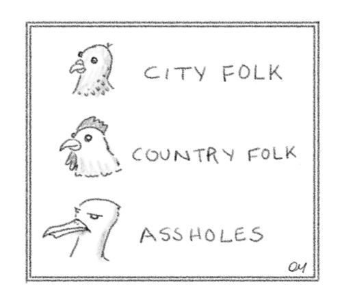 Different types of bird folk.