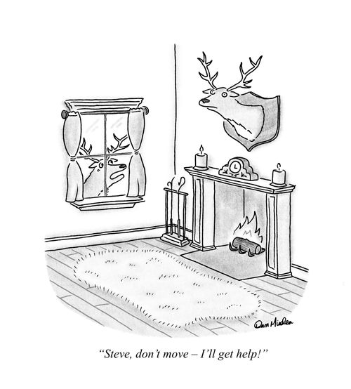 "Steve, don't move – I'll get help!"